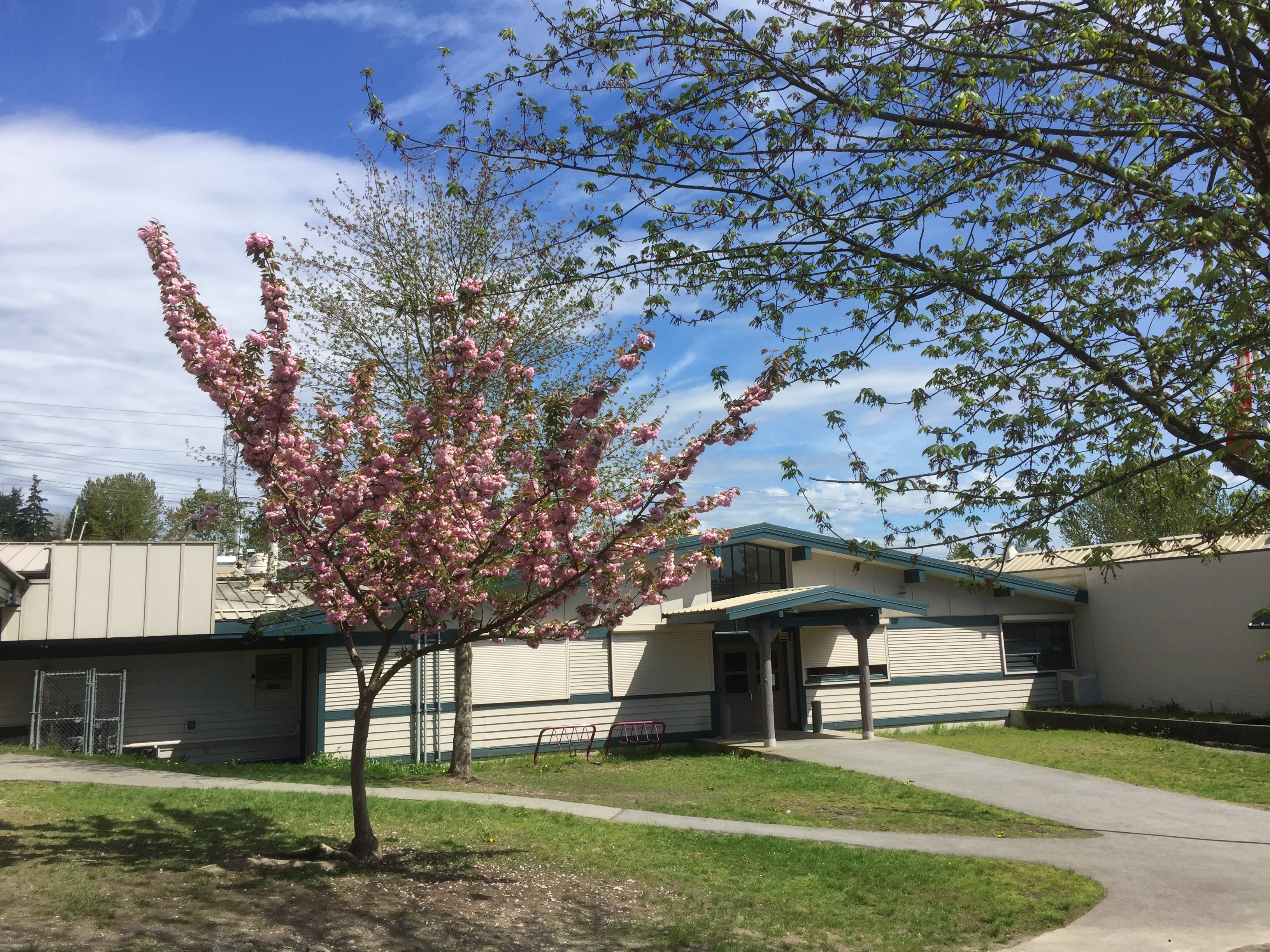 Home Eagle Ridge Elementary School