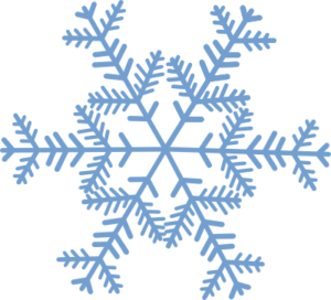 Snowflake2.png