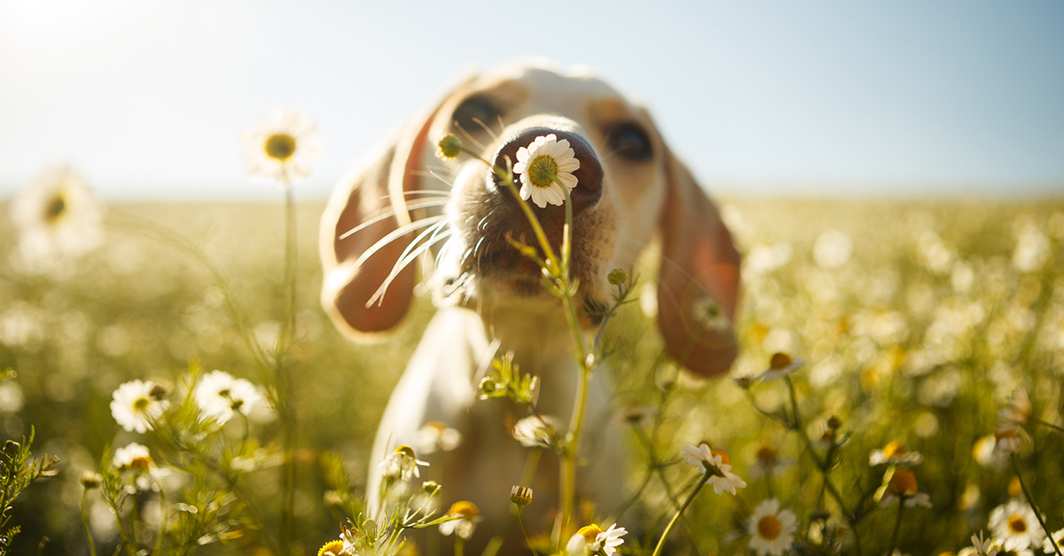 Spring Pic.jpg