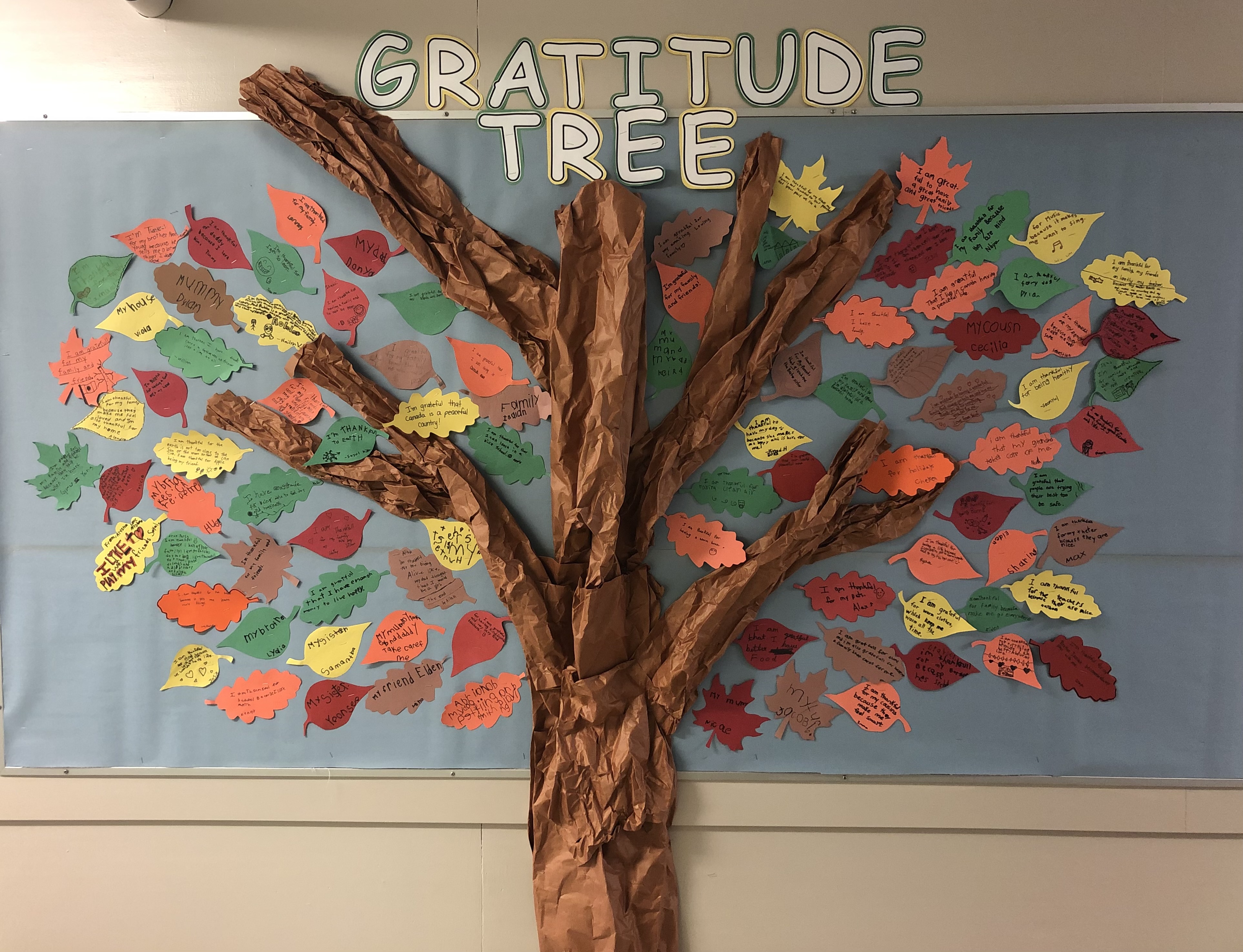 Gratitude Tree.jpg