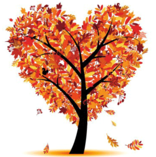 Fall picture.png