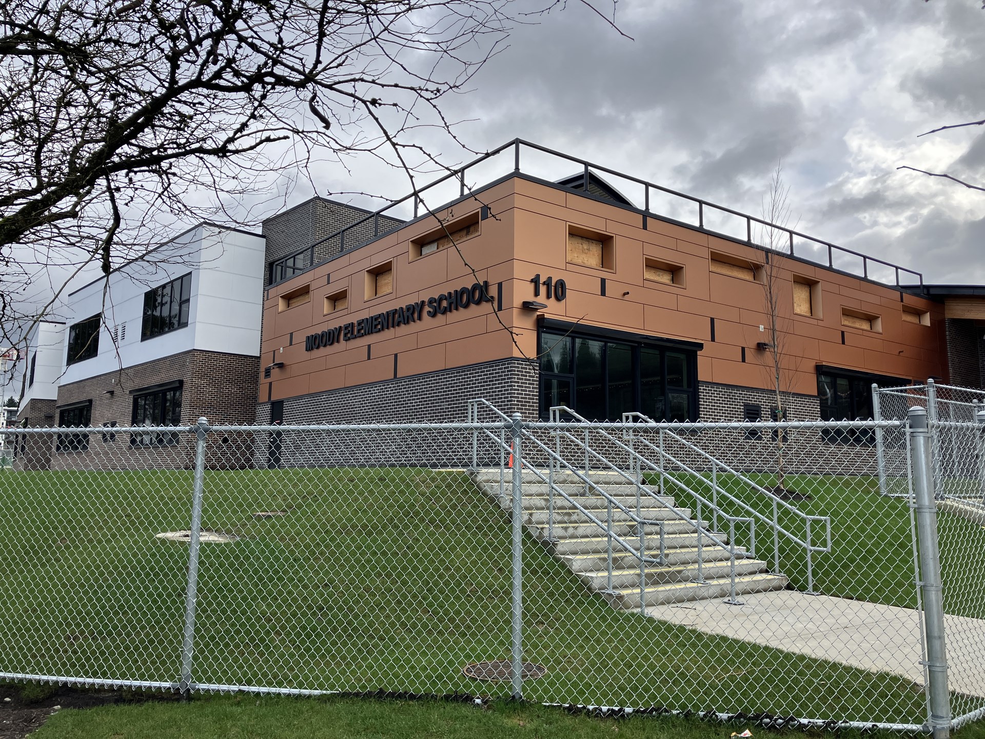 Moody Elm 16 March 2026.JPG