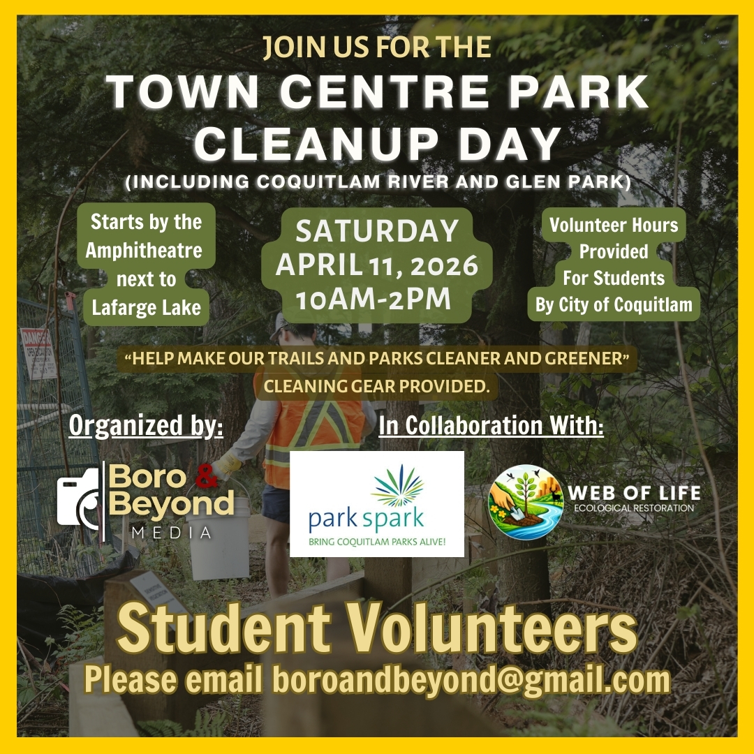 Town Centre Cleanup Poster.jpg