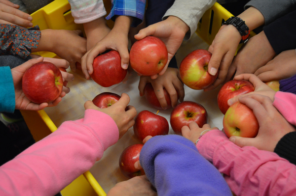 Harbourview BC Fruits and Veggies Program