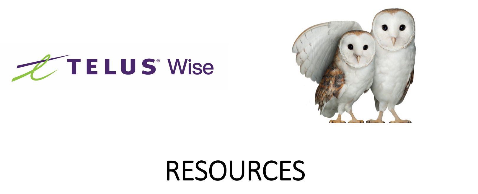 TelusWise.png