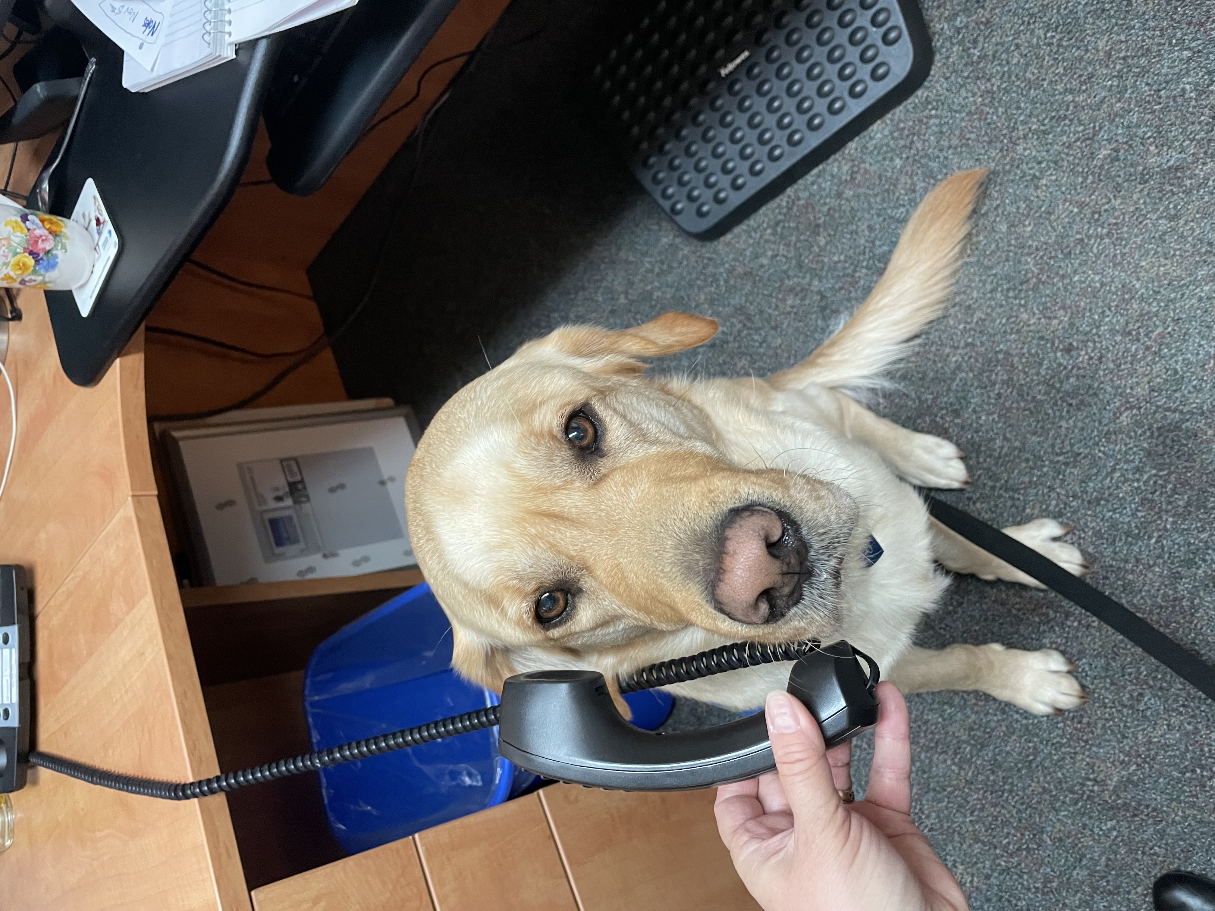 Tony on the phone 2.jpg