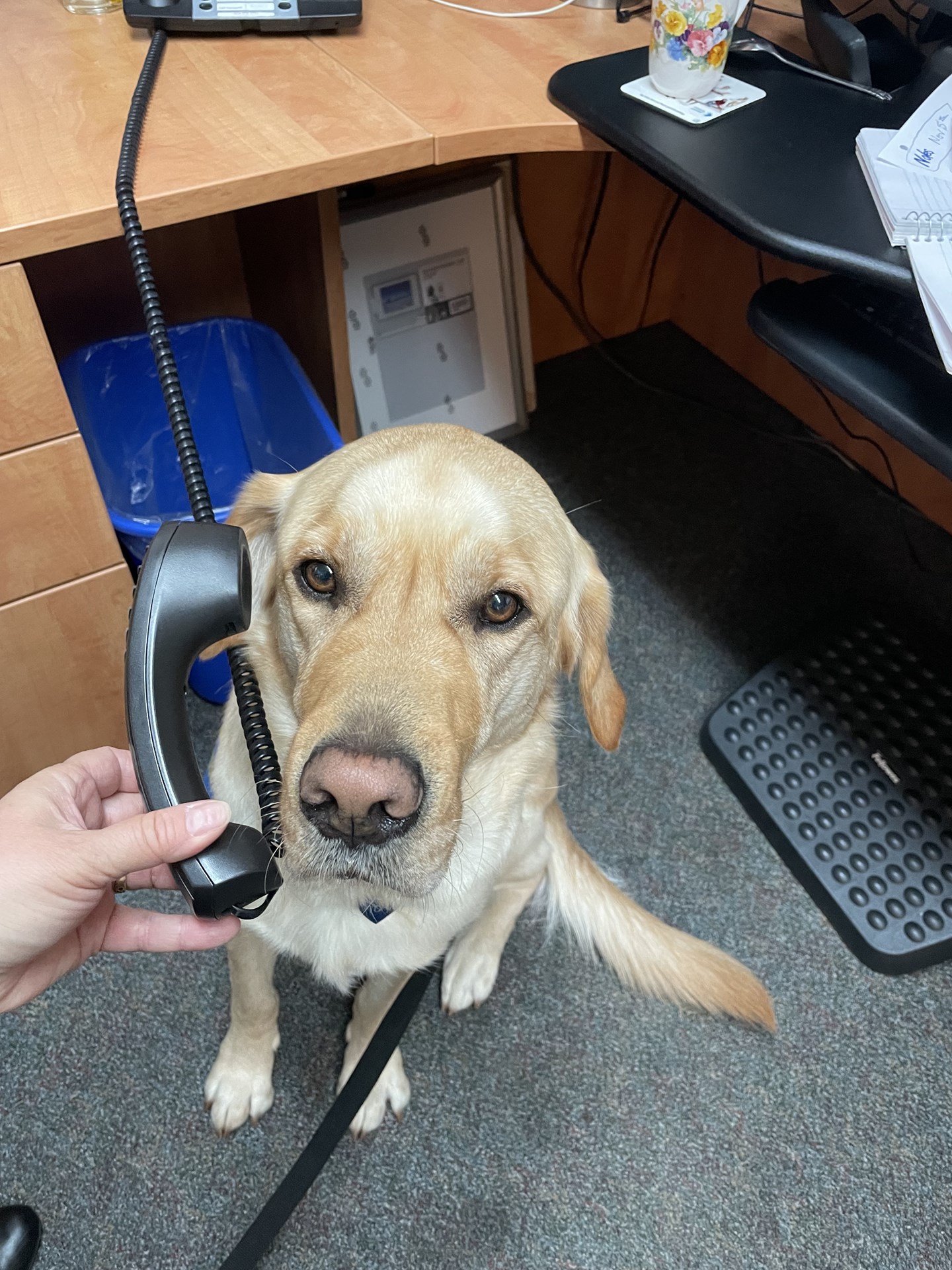 Tony on the phone 2.jpg