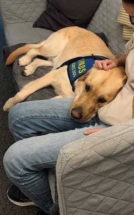 PADSDog.jpg
