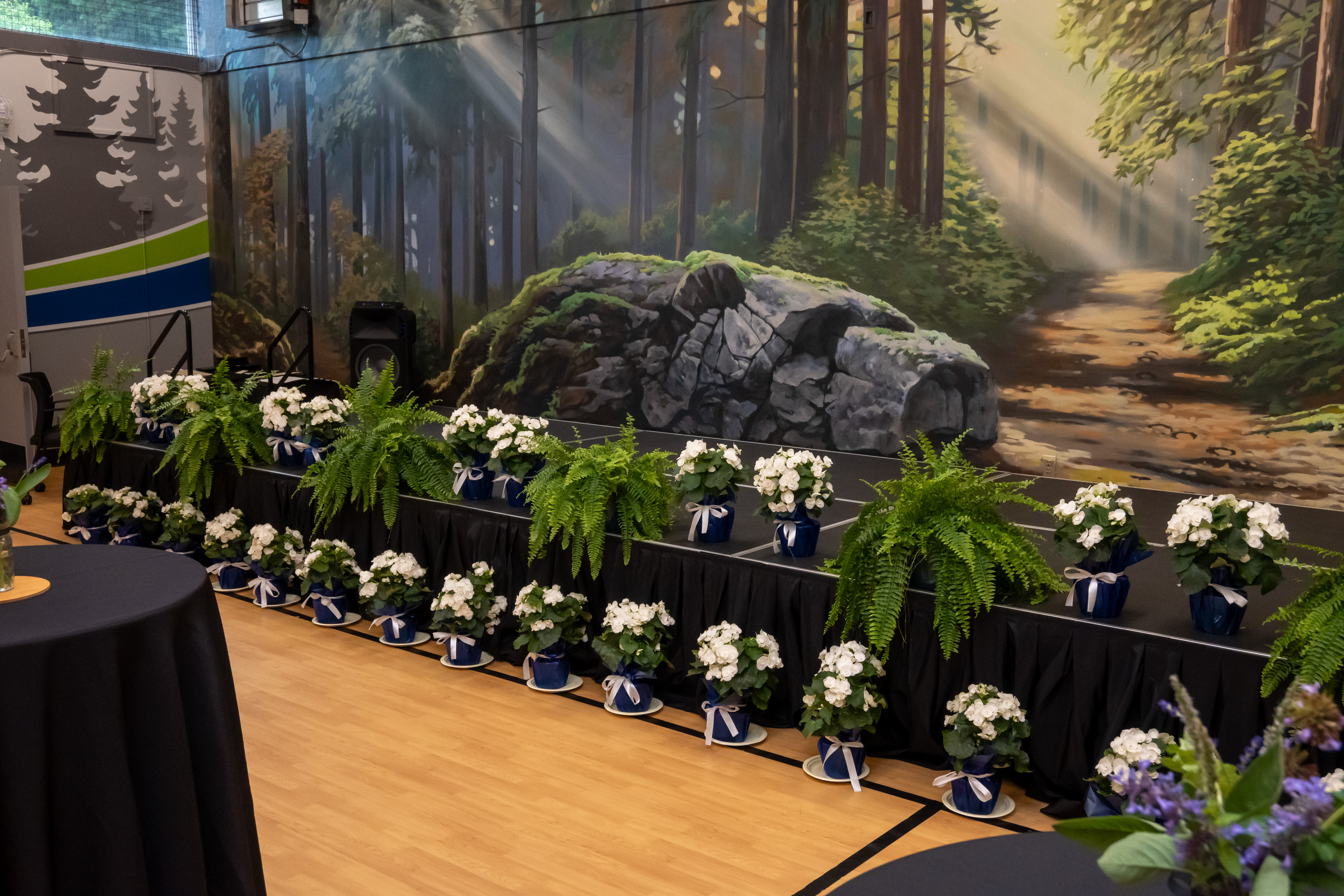 Grad 2025 Stage.jpg