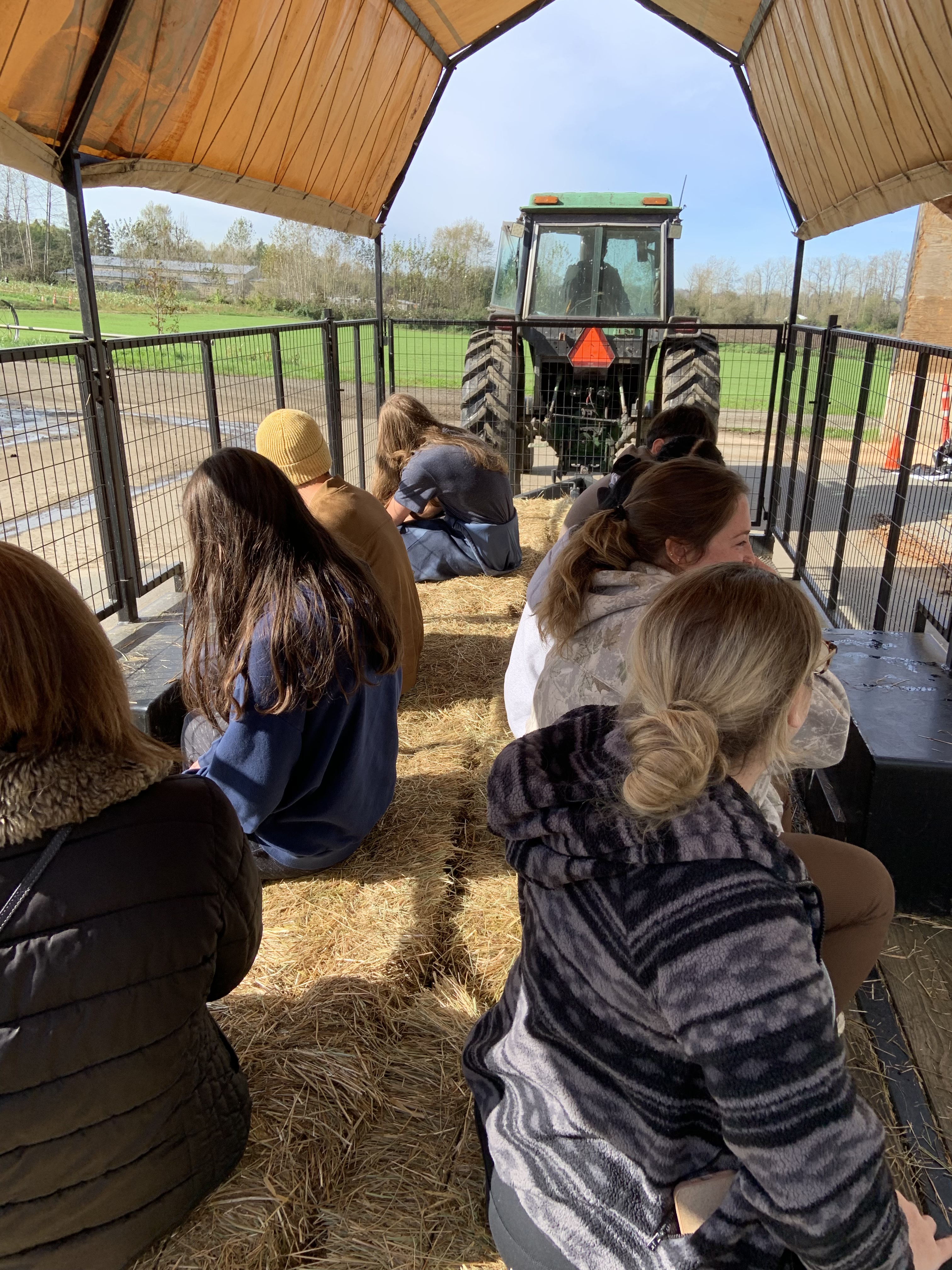 Pumpkin Patch tractor ride.jpeg