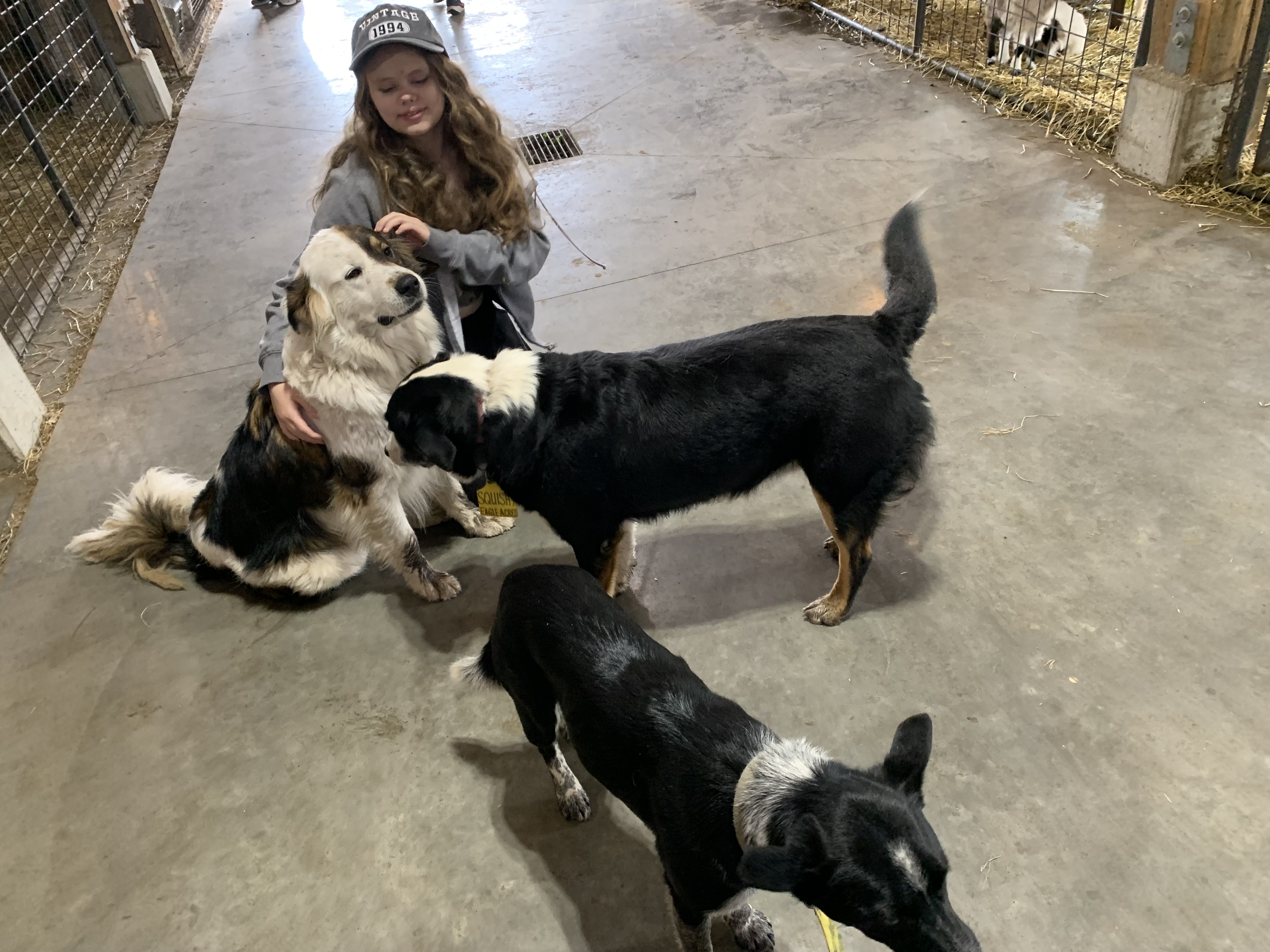 Visit to the farm.jpg