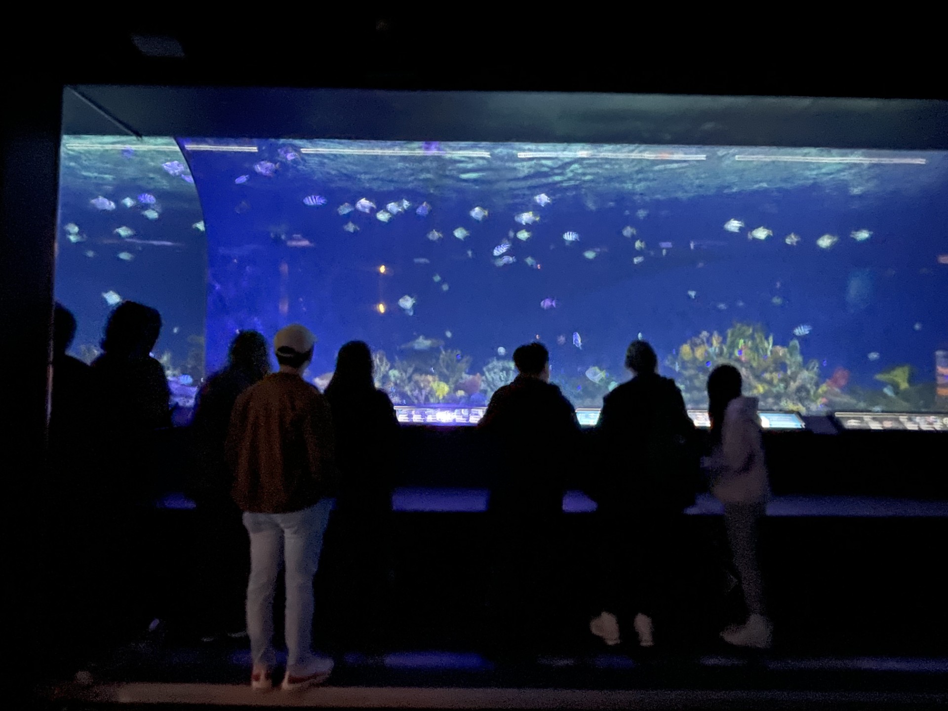 main tank.jpg