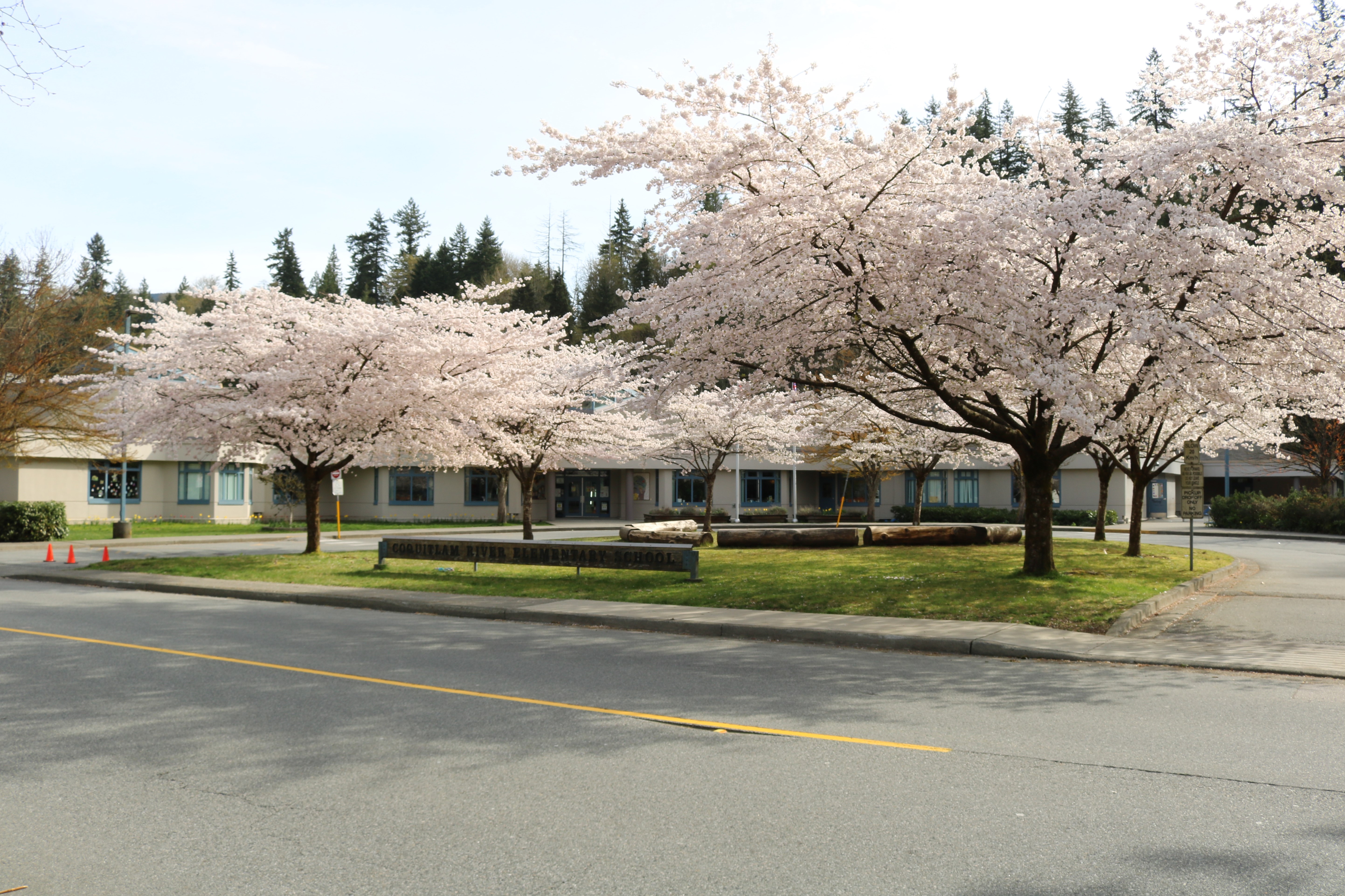 Welcome to École Coquitlam River Elementary