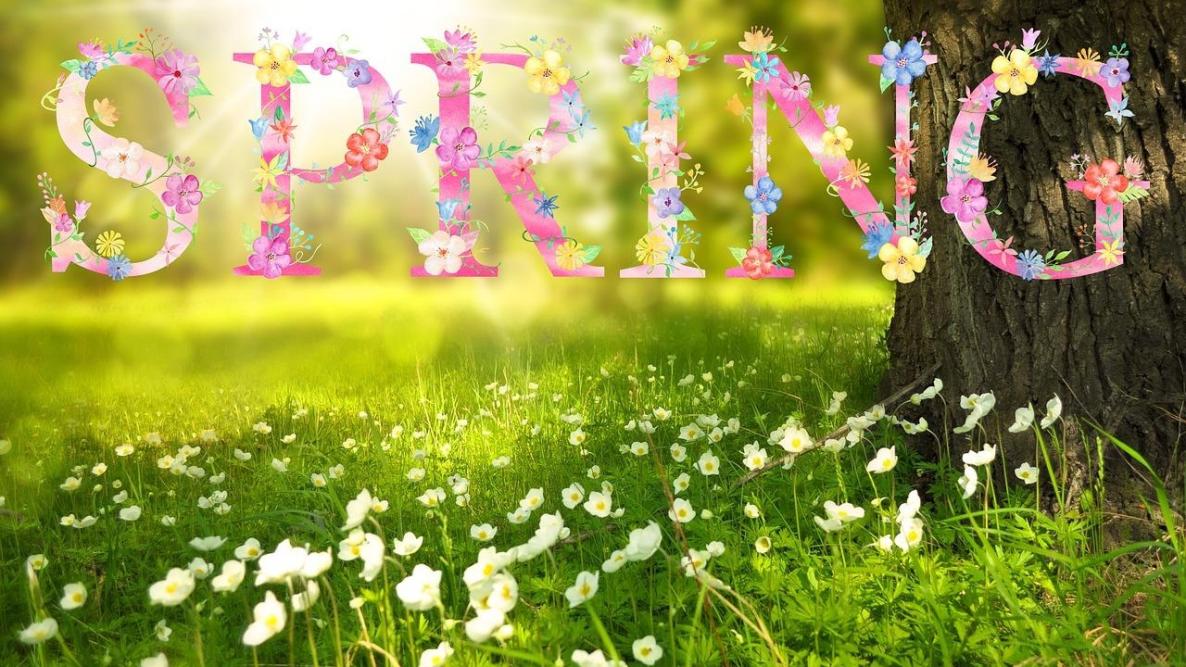 Spring Pic.jpg