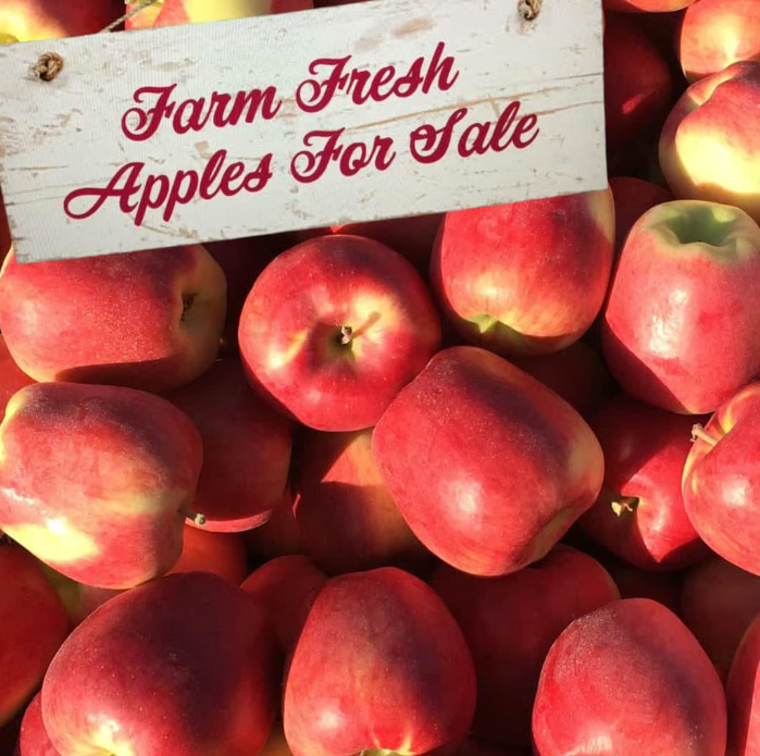 EMMSOTA PAC Sun-Oka Apple Fundraiser