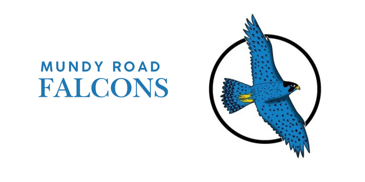 Check out our NEW Falcon Flyer 