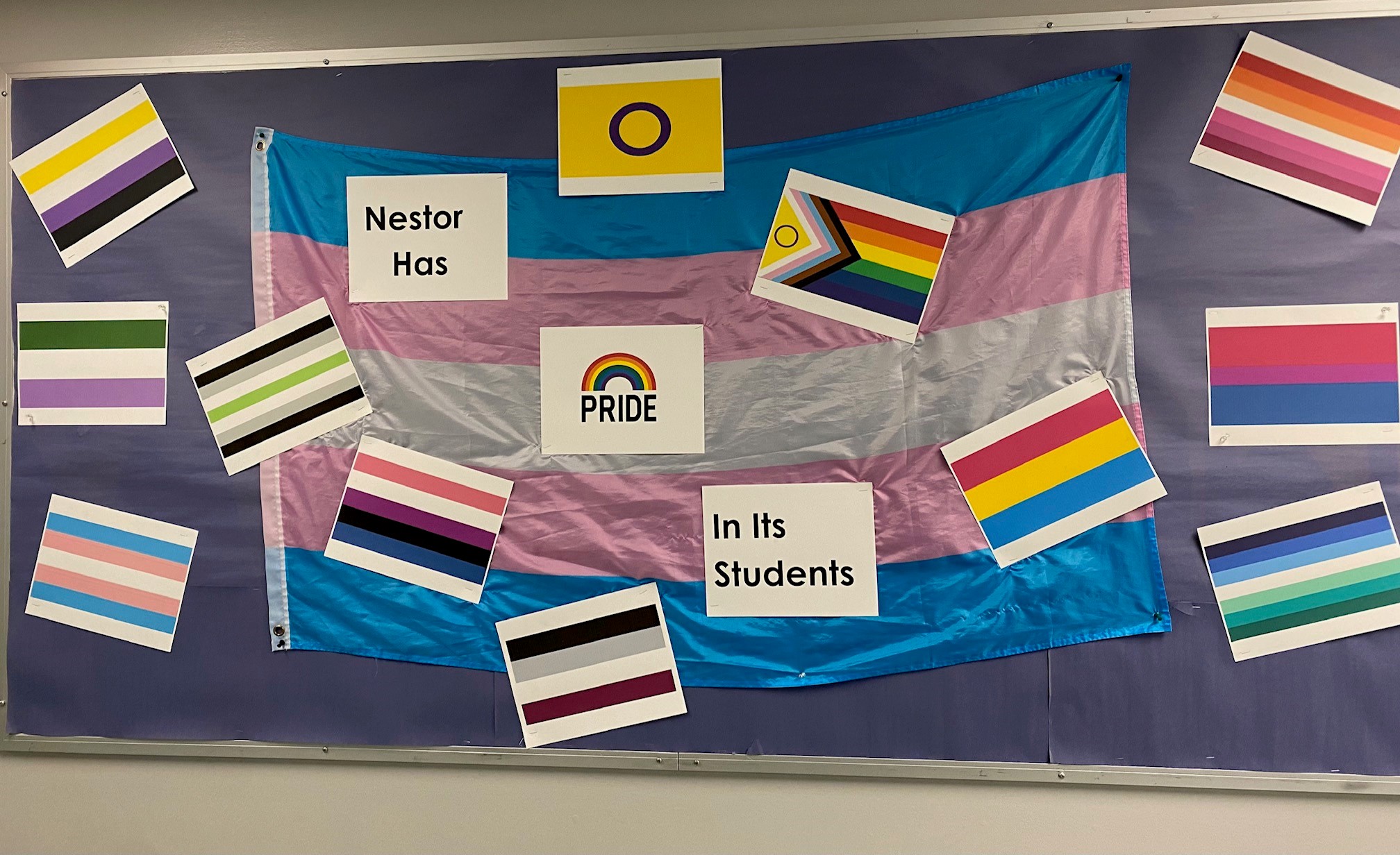 Nestor has Pride in its students