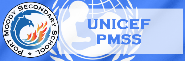 Unicef PMSS Banner.png